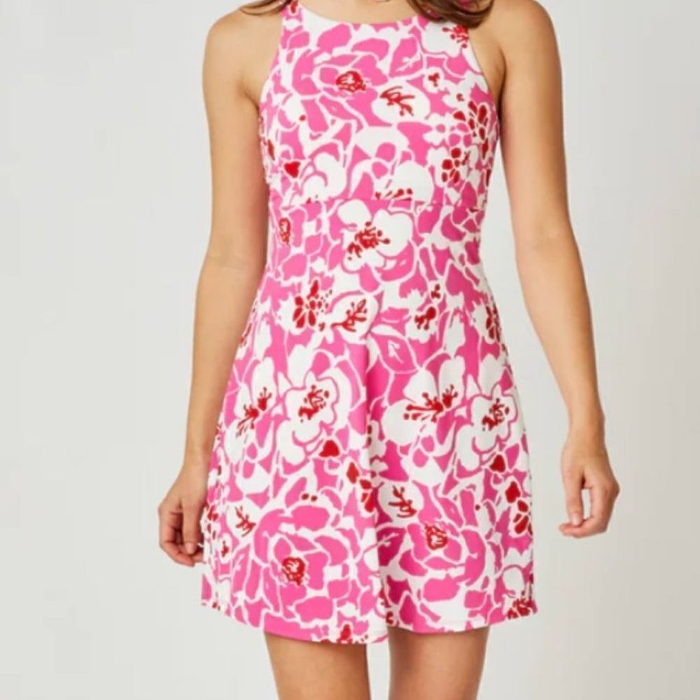 NWT Carve Designs Zuri Dress